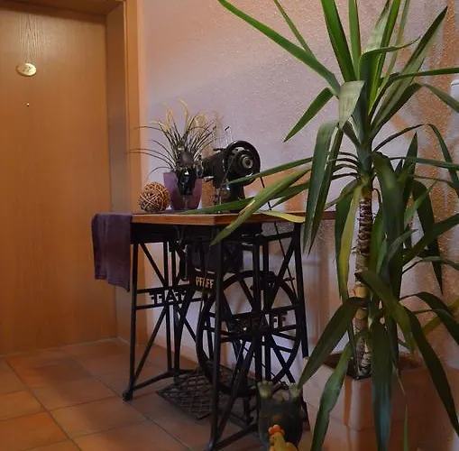 公寓 Appartementhaus Sibylle 巴特法兴格